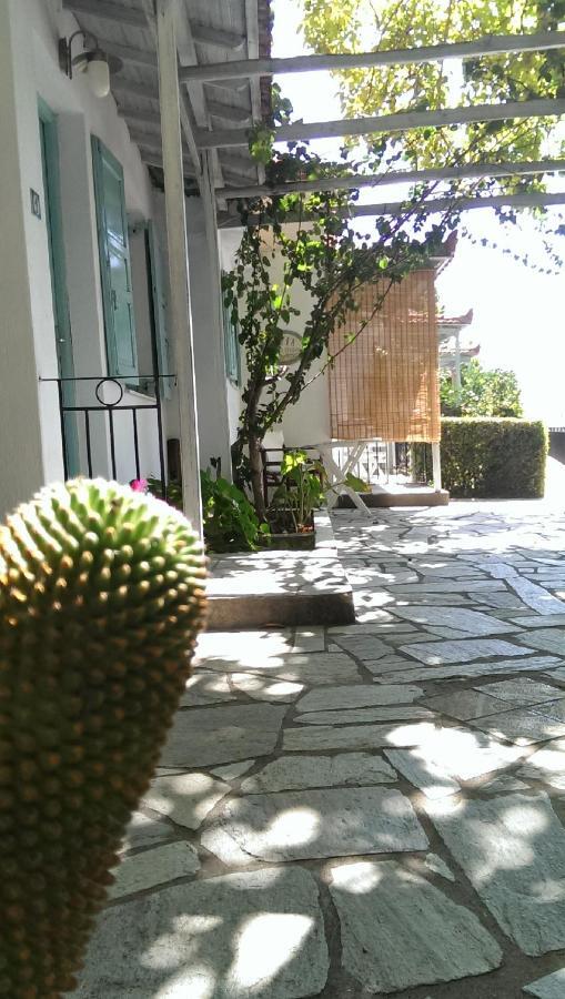 Sofia Holiday Studios Стафилос Экстерьер фото